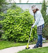 Weed Cutter vs. Traditional Trimmers: Which Is Right for You? - Part 6