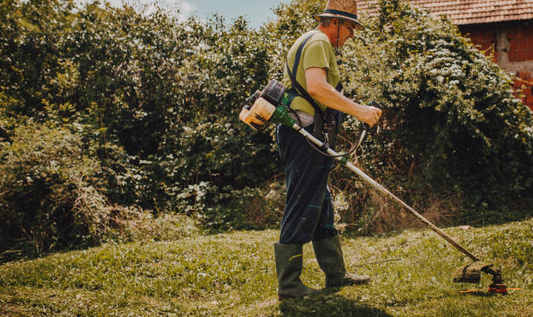 Weed Cutter vs. Traditional Trimmers: Which Is Right for You? - The Commencement of Your Landscape Legacy