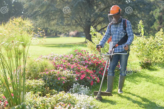 Battery vs. Petrol Grass Trimmers: Which Option Suits Your Needs Best?