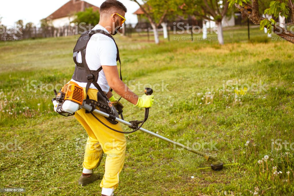 Choosing the Right Weed Cutter for Your Needs: A Comprehensive Guide